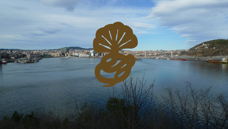 Sommerskole med Parallellaksjonen