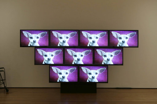 6. desember – Hanne Mugaas