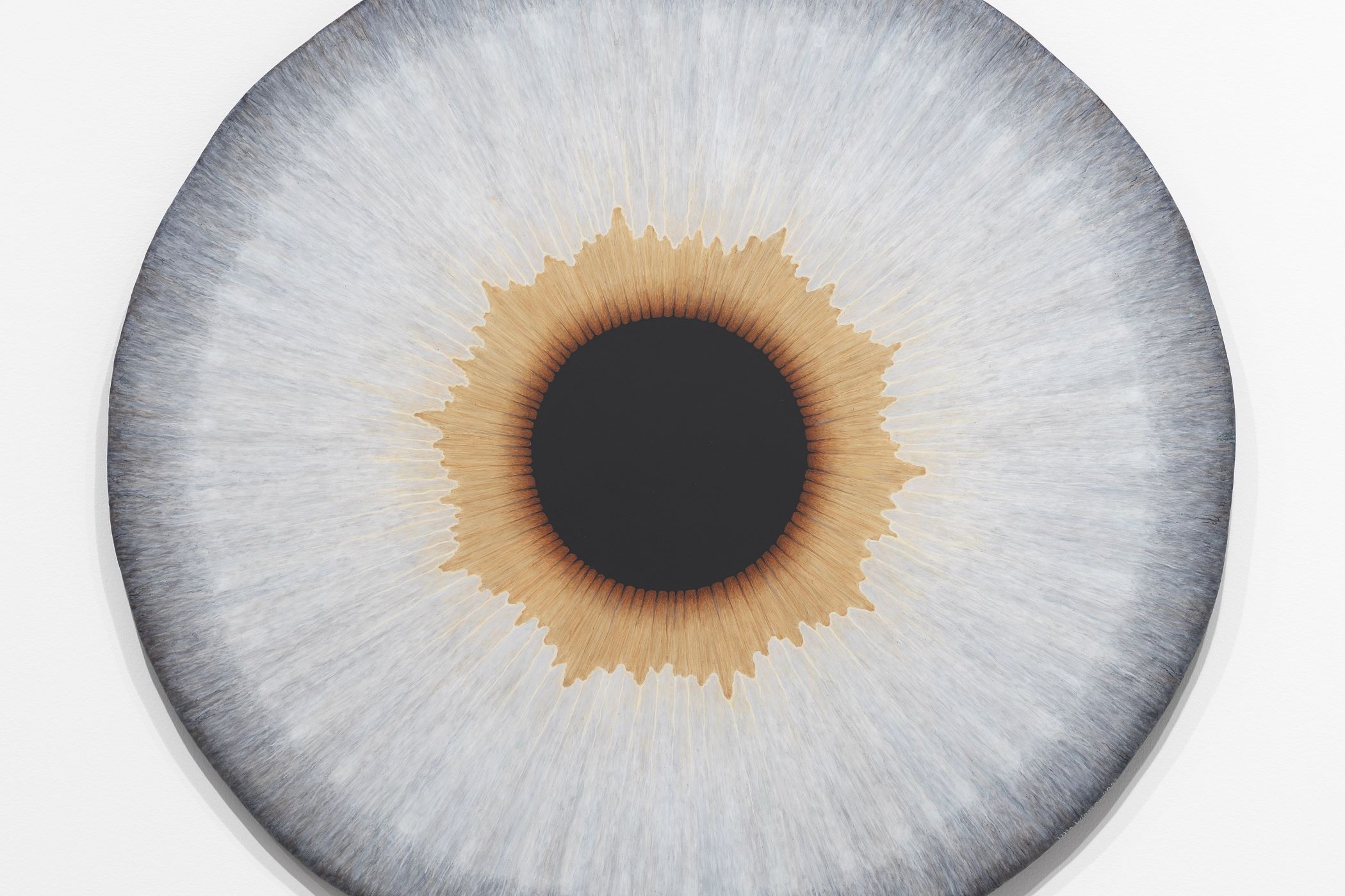 UW24_Iris_XXIV_Maja_0001-4.jpg