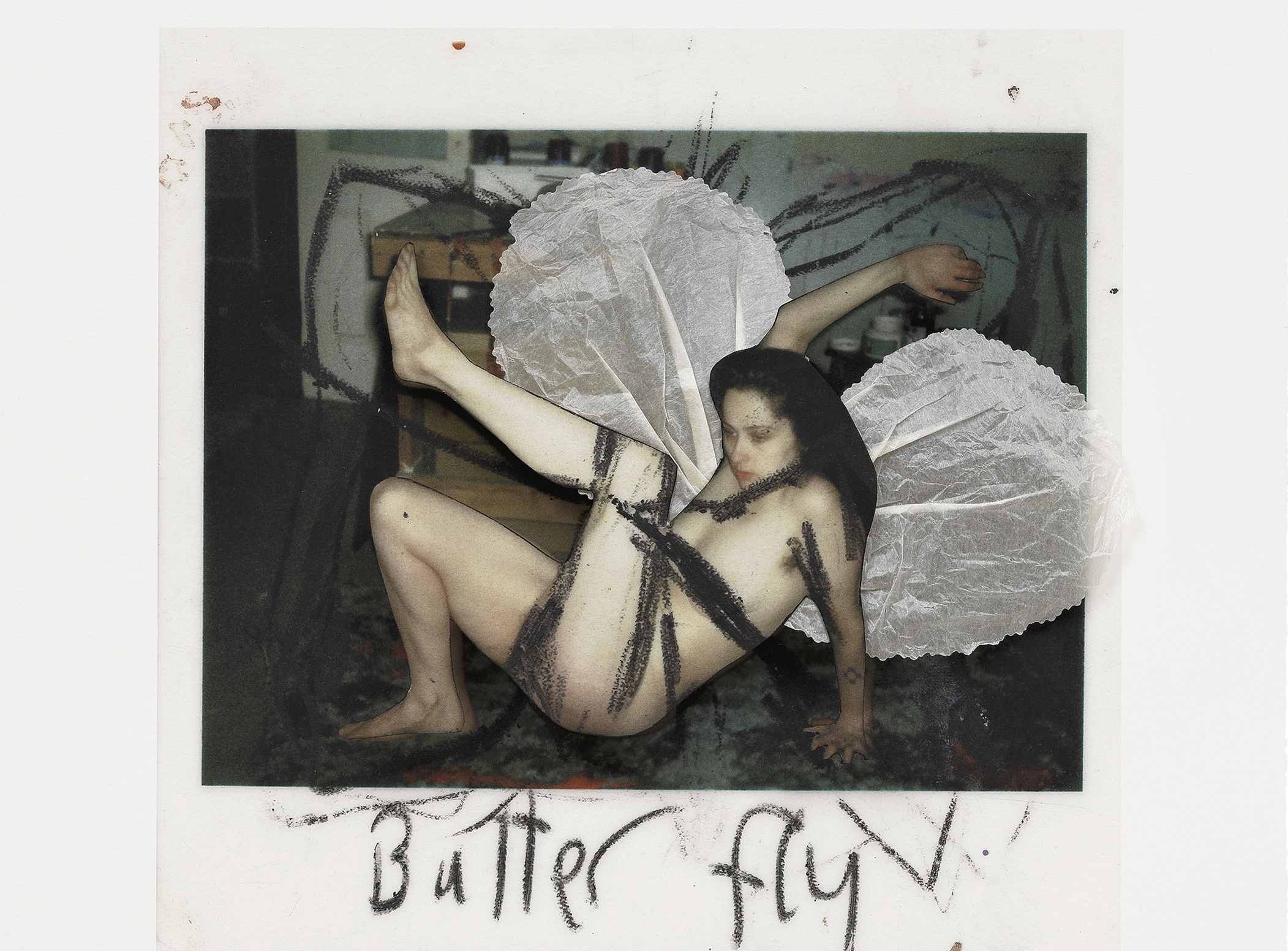 Apocalyptic Butterfly