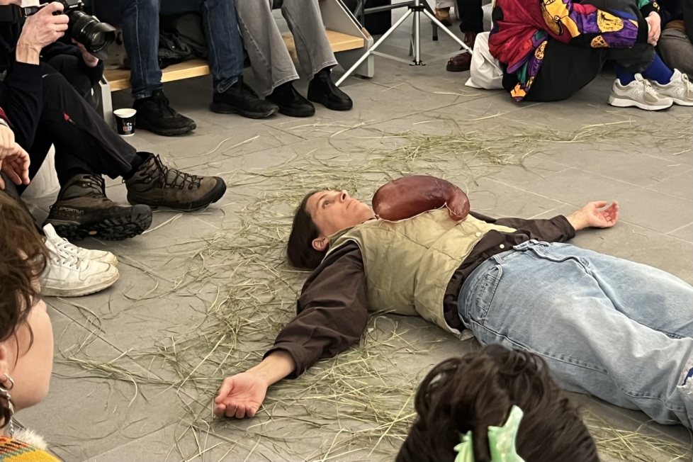 Samtaler med frænder