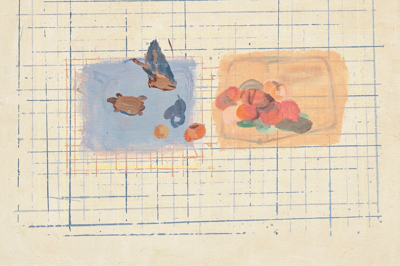 Kanskje en skilpadde