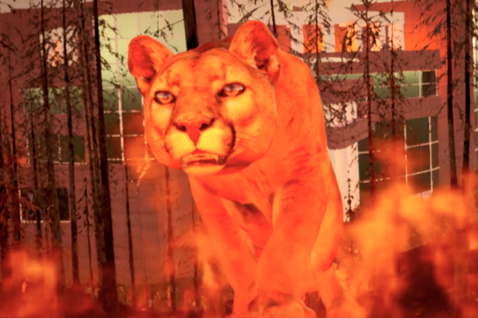 Framtidsnøytralisme