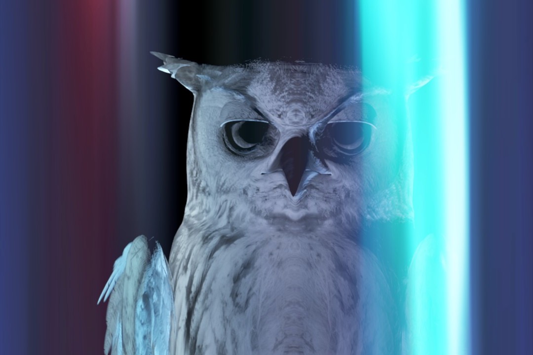 Doktor Lislegaards ö