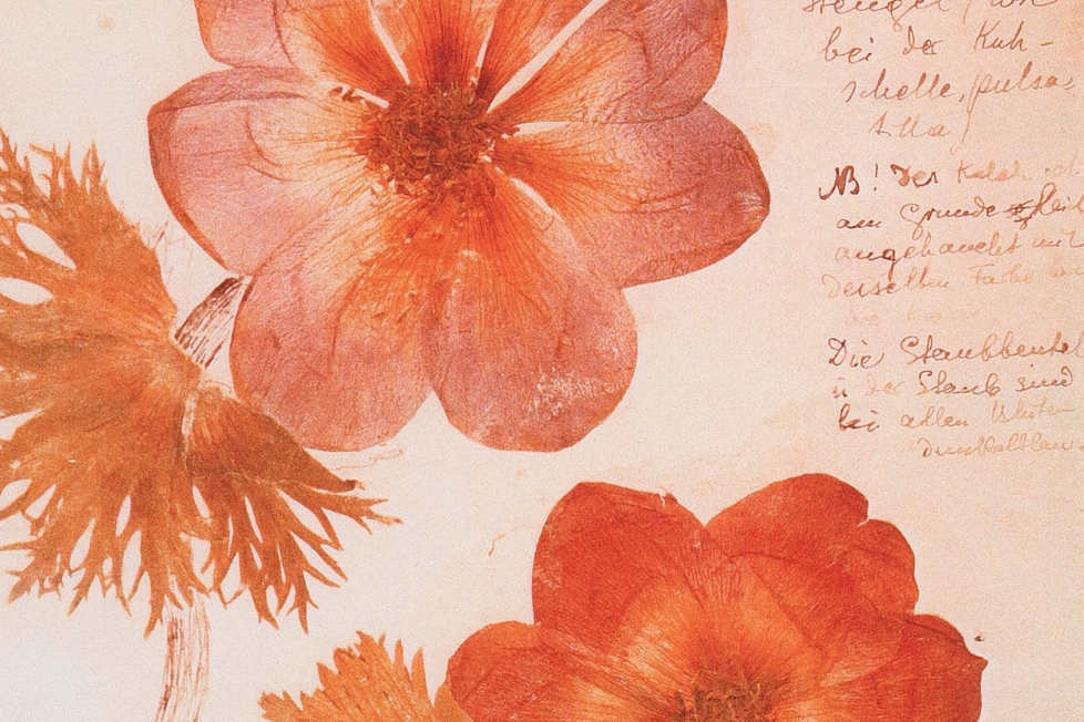 Brev, minne, landskap